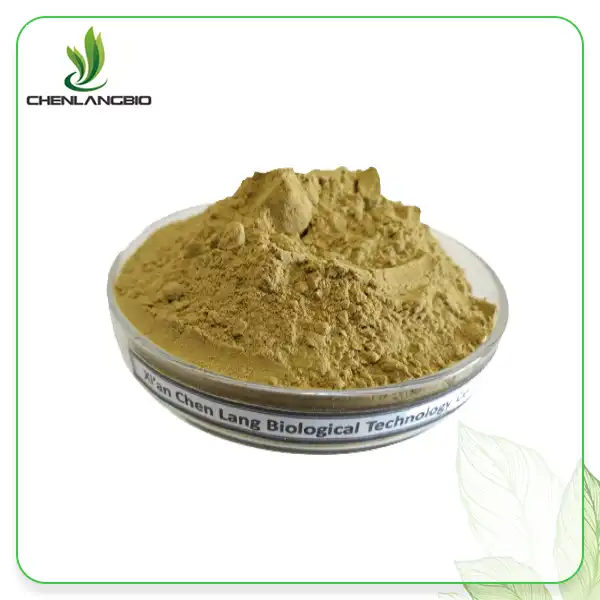 Eucommia Extract Powder